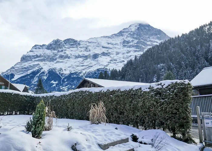 Schwendihus-4 By Interhome Grindelwald
