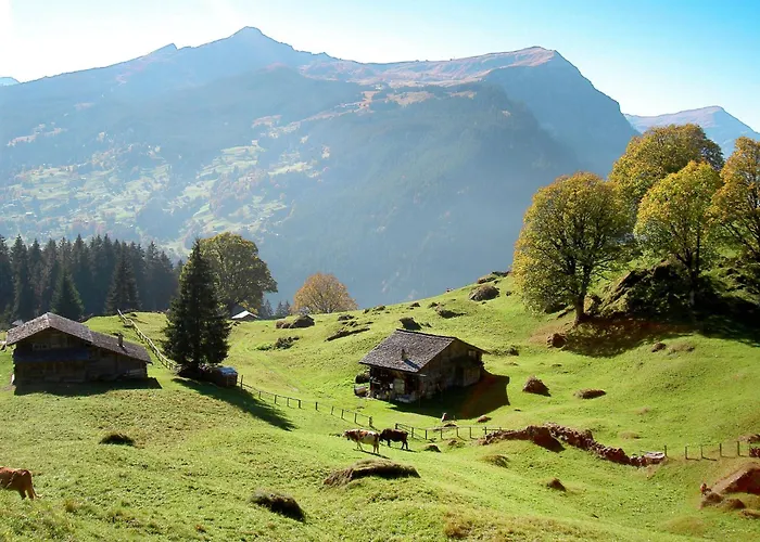 Schwendihus-4 By Interhome アパート *