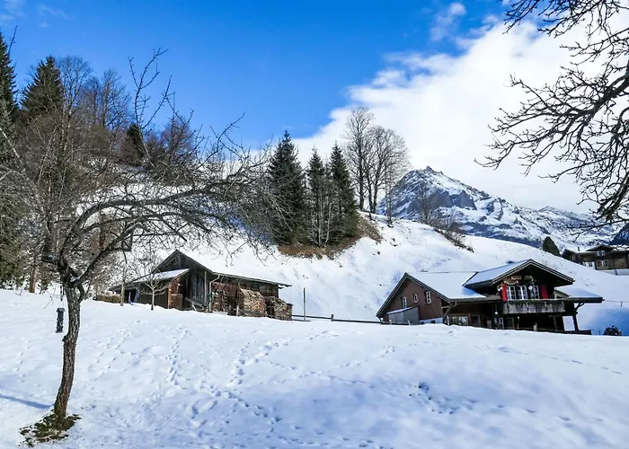 Schwendihus-4 By Interhome Daire