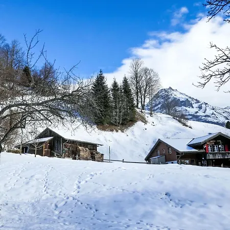 Schwendihus-4 By Interhome Lejlighed